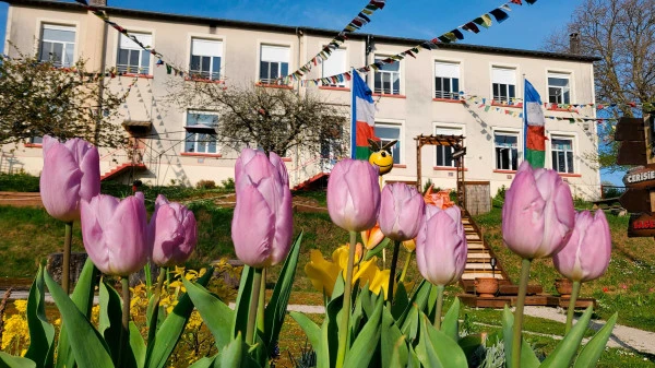 Les tulipes en avril et mai.