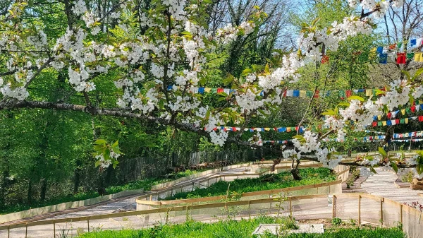 Les sentiers promenades dans le chemin de Bouddha
